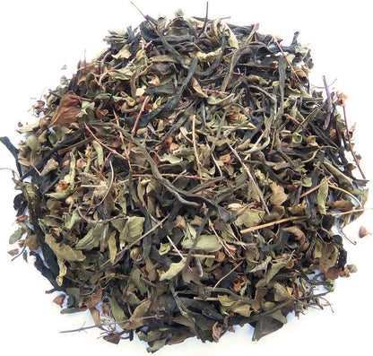 Organic Mint Green Tea :: Mint Green Exposure - Dry Leaves