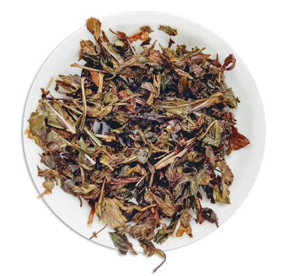Organic Mint Tea :: Mint Spark - Wet Leaves