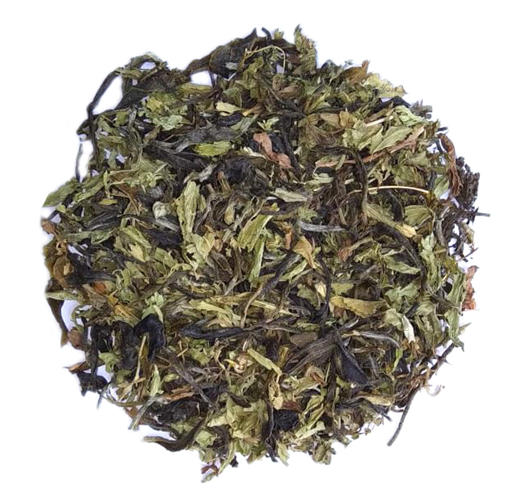 Salubrious Stevia Green Tea