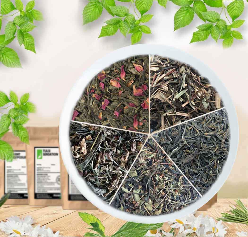 Loose Organic Green Tea Leaves - Combo